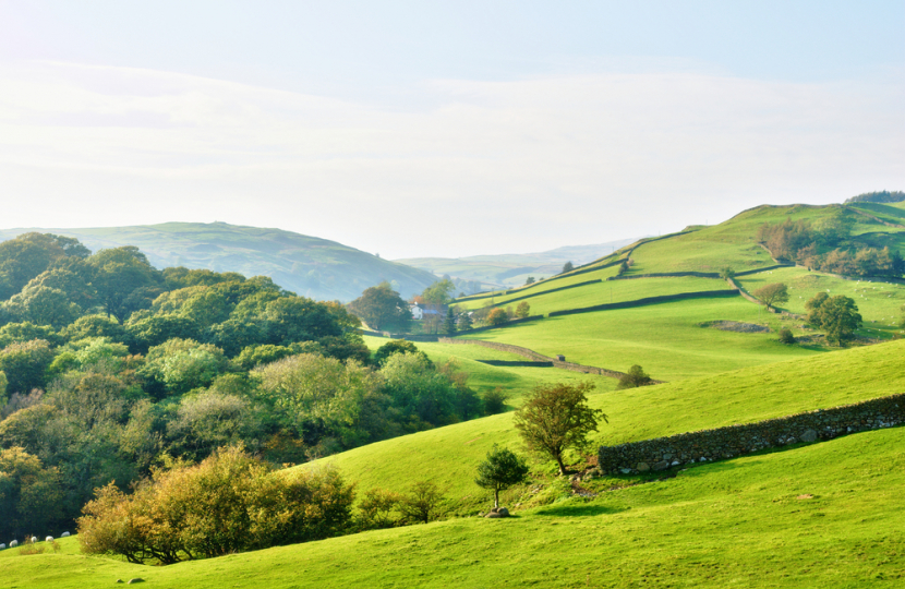 Countryside